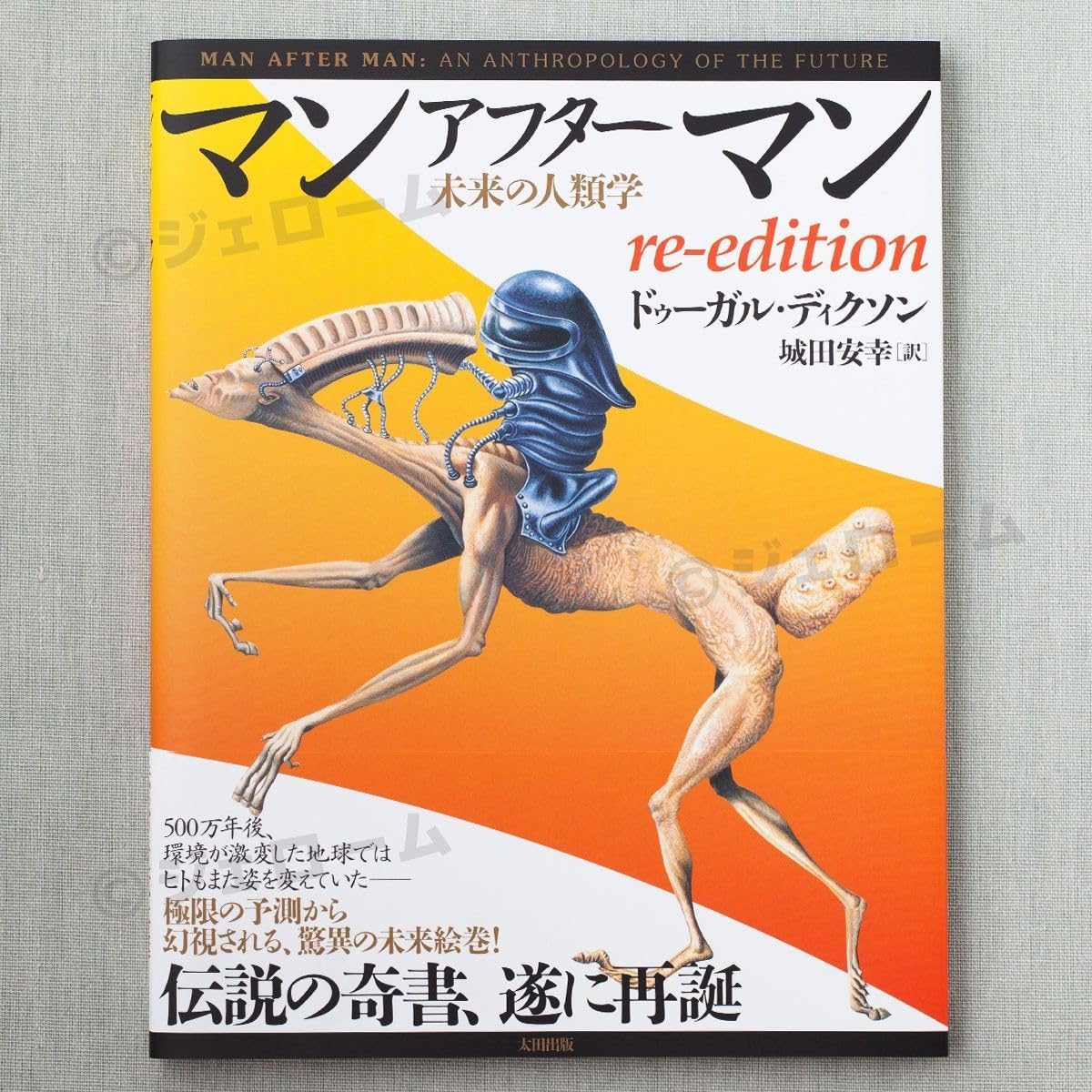 CB ONE BLUNO 130 ブルーノ130 ブルー/オレンジベリー CBONE H165